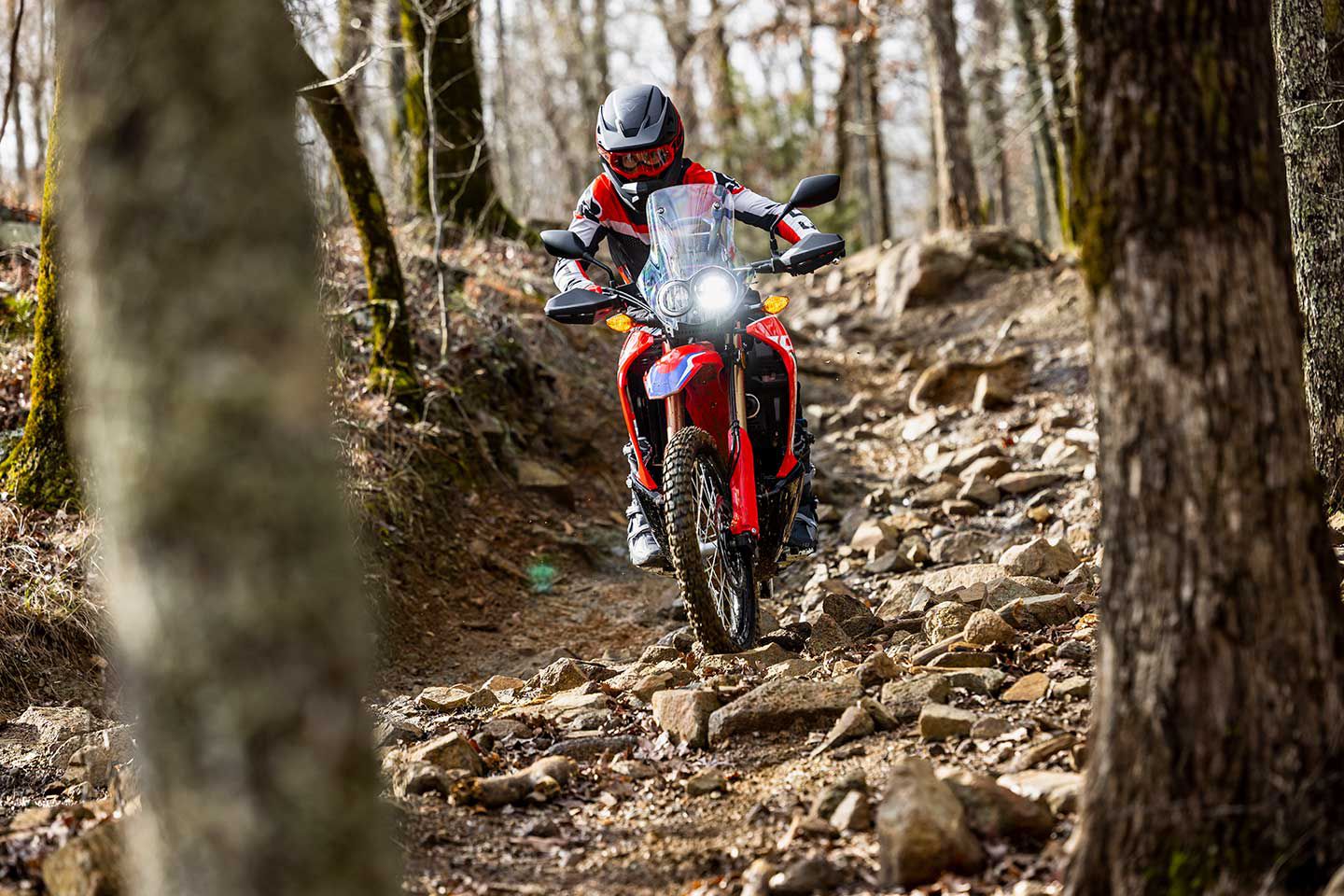 A 21-inch front wheel helps the CRF300L Rally roll over obstacles on tricky terrain.