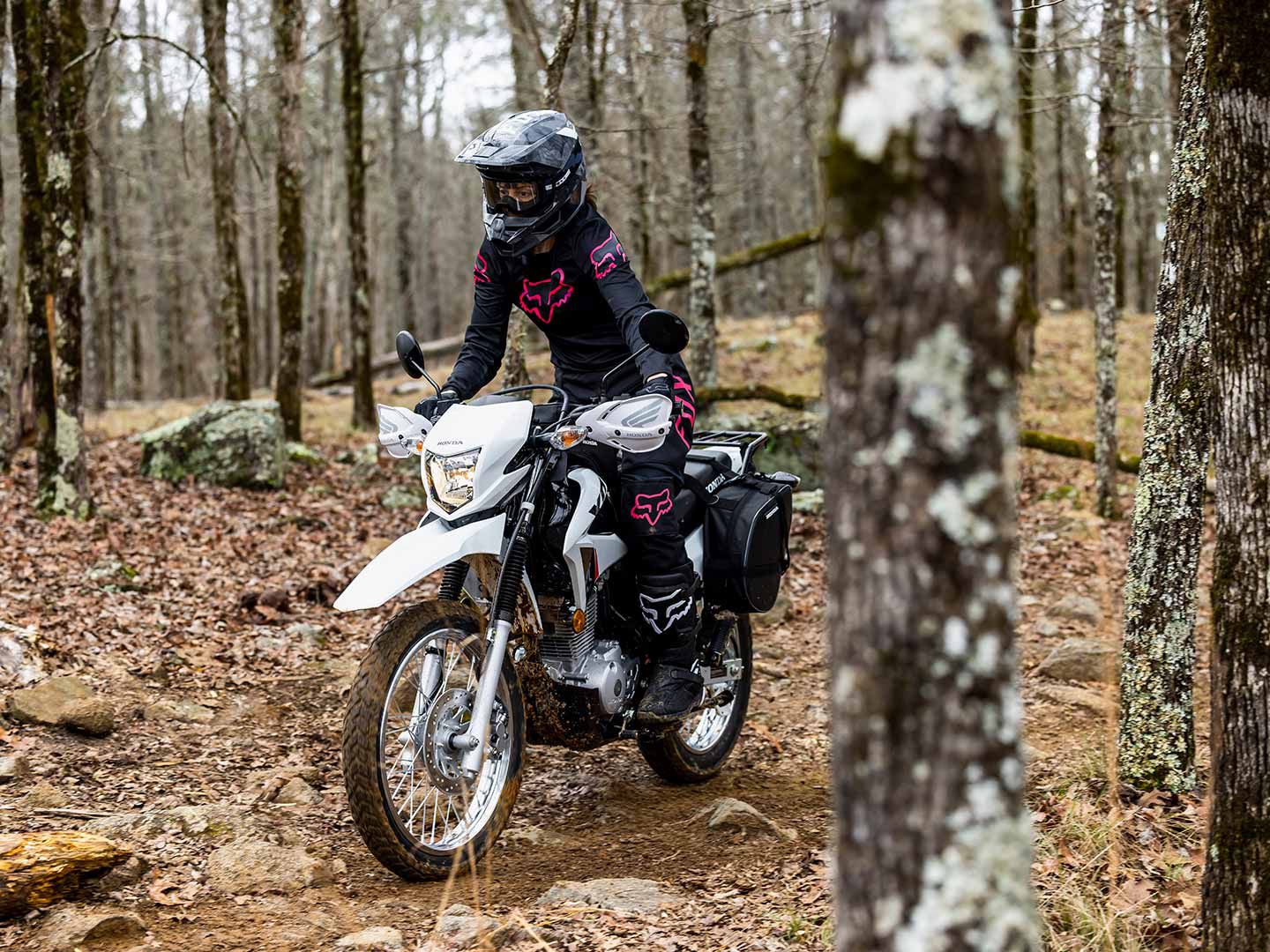 Honda has announced the new 2023 XR150L dual sport. Great, because the spring riding season is just around the corner.
