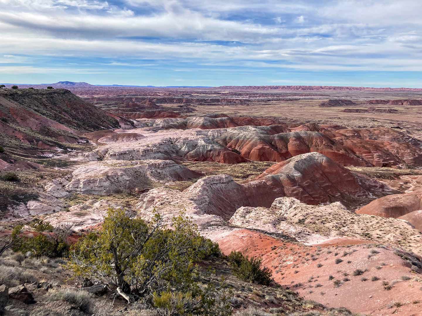 Tawa Point in the Painted Desert in Petrified Forest National Park.