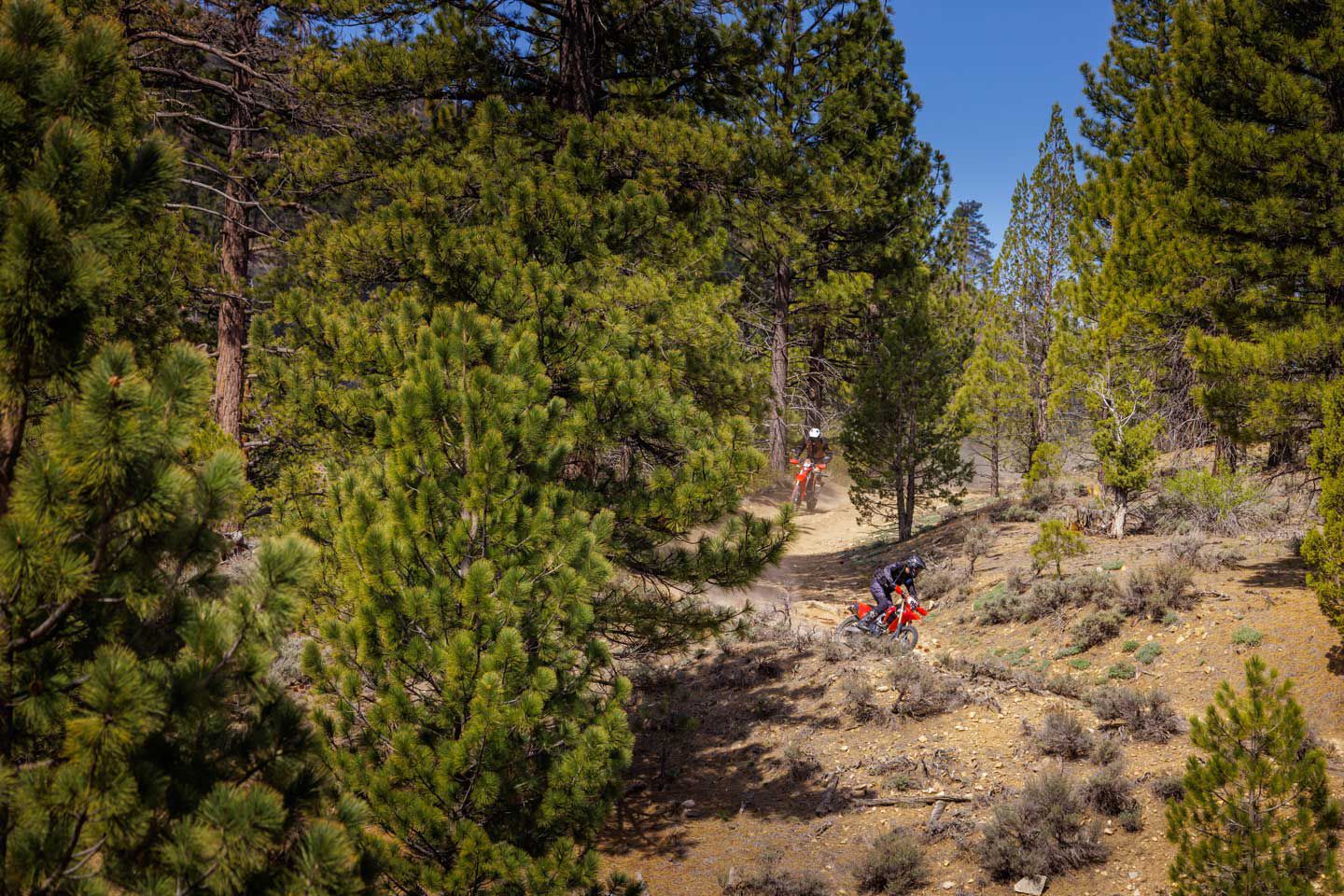 Riders participate in dual sport and adventure-touring rides high in the mountains near Big Bear Lake.